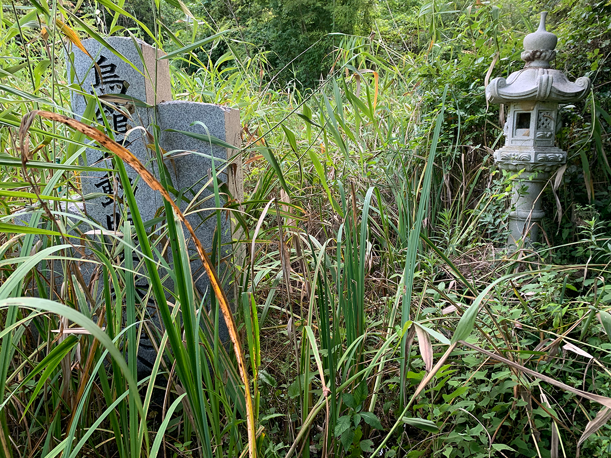 参道入口-10年後-1200×800